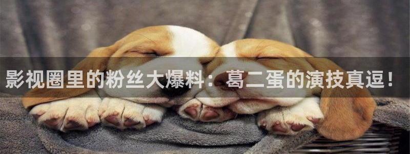 樱花影院网：影视圈里的粉丝大爆料：葛二蛋的演技真逗！